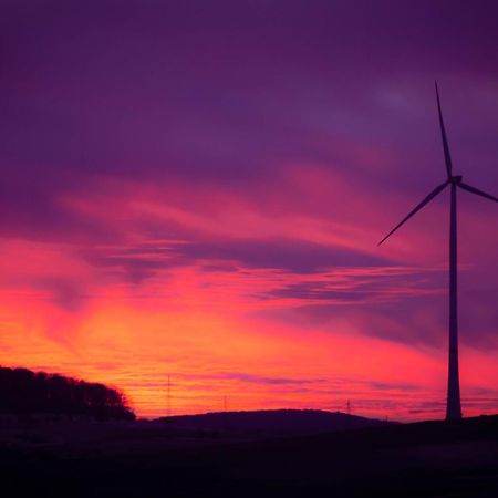 Fewo Uettingen Mitte Exteriör bild