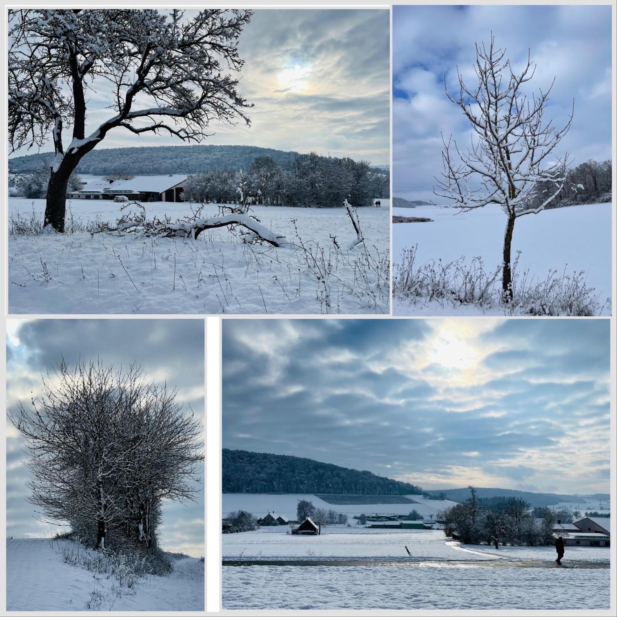 Fewo Uettingen Mitte Exteriör bild